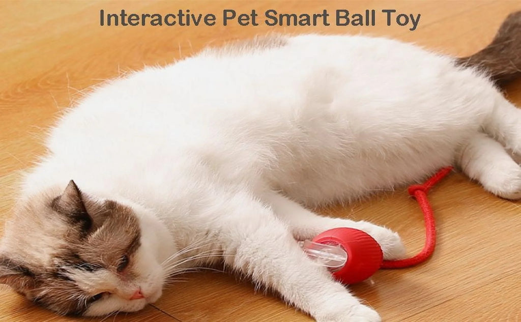 Interactive Cat Toy Ball, Smart Self Rolling Interactive Ball 