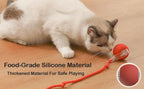 Interactive Cat Toy Ball, Smart Self Rolling Interactive Ball 