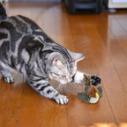 Interactive Electronic Cat Toy, Automatic Chirping Bird 